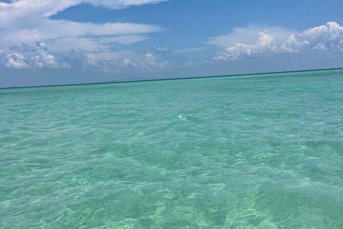 Aqua Sol Adventures-4.5 hour Private Snorkeling,Dolphin,shelling - What Makes This Tour Stand Out