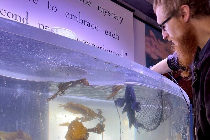 Aquarium Behind the Scenes at Sitka - A Detailed Look at the Sitka Behind the Scenes Tour