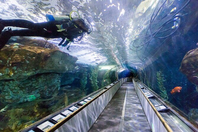 Aquarium of the Bay VIP Experience - Who is this tour ideal for?