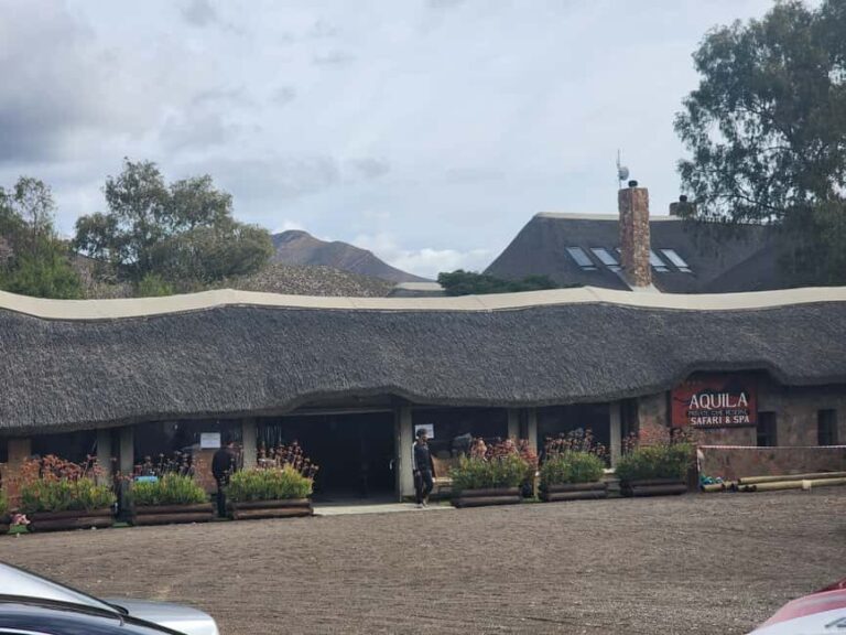 Aquila big five safari with transport, lunch Excl park fee - Practical Tips for Making the Most of Your Day
