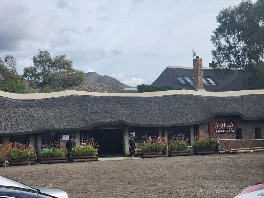 Aquila big five safari with transport, lunch Excl park fee - Practical Tips for Making the Most of Your Day