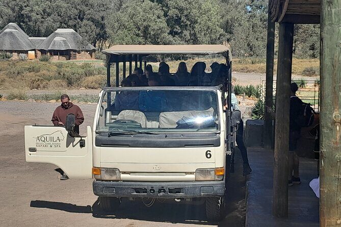 Aquila Safaris Park with Transportation and Lunch private tour - Setting the Scene: What You Can Expect