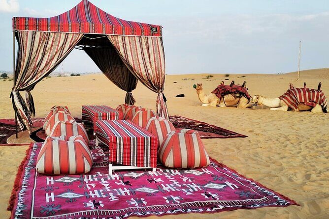 Arabian Candlelit : Private BBQ & Dune Bashing Getaway - Introduction: An Adventure That’s More Than Just a Safari
