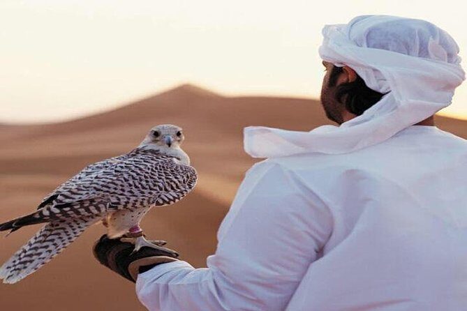 Arabian Desert Experience In Dubai - Who Will Love This Tour?