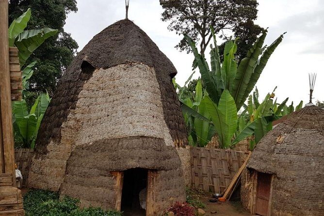 Arba Minch, Dorze Tribe, Konso, and Awasa Private 4 Days Tour from Addis Ababa - What Sets This Tour Apart?