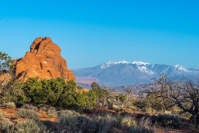 Arches National Park Half Day Tour - The Itinerary: What to Expect During Your 4 Hours