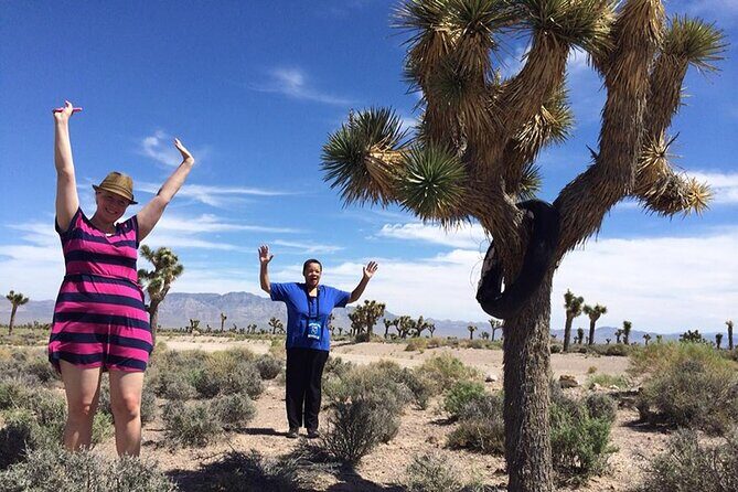 Area 51 Day Tour from Las Vegas with Alien and UFO Hotspots - Who Will Love This Tour?