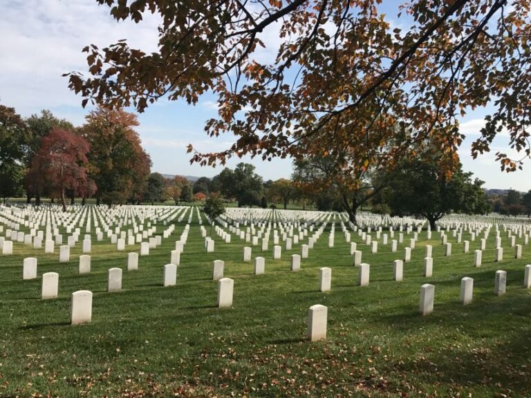 Arlington: Private Arlington Cemetery Guided Walking Tour - Who Would Benefit Most?
