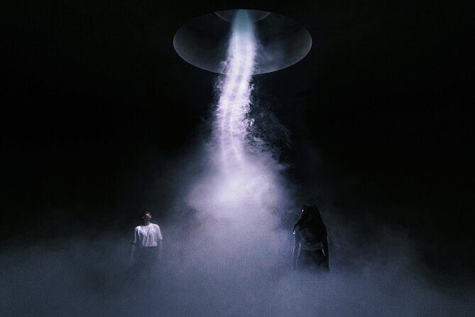 ARTE MUSEUM Immersive Media Art Exhibition in NYC - Practical Considerations and Booking Tips