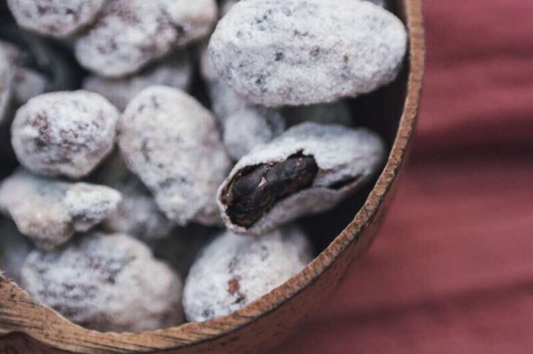 Artisanal Mexican Chocolate Tasting - Exploring the Chocolate Tasting Experience