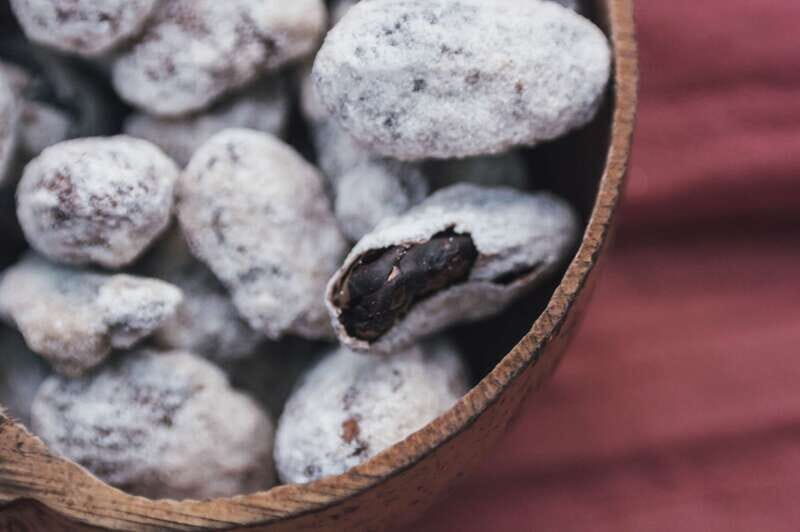 Artisanal Mexican Chocolate Tasting - Exploring the Chocolate Tasting Experience