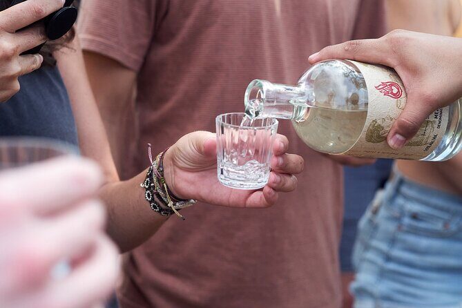 Artisanal Mezcal Culture Tour for Tasting and History - Visiting the Family-Run Distillery: Tradition in Action