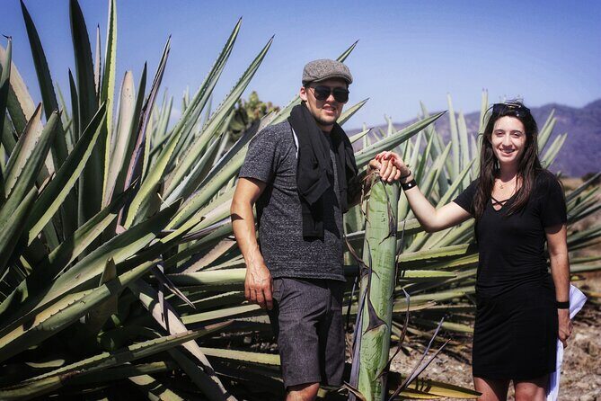Artisanal Mezcal distillery in an authentic Zapotec village - The Practical Side: Logistics & Cost