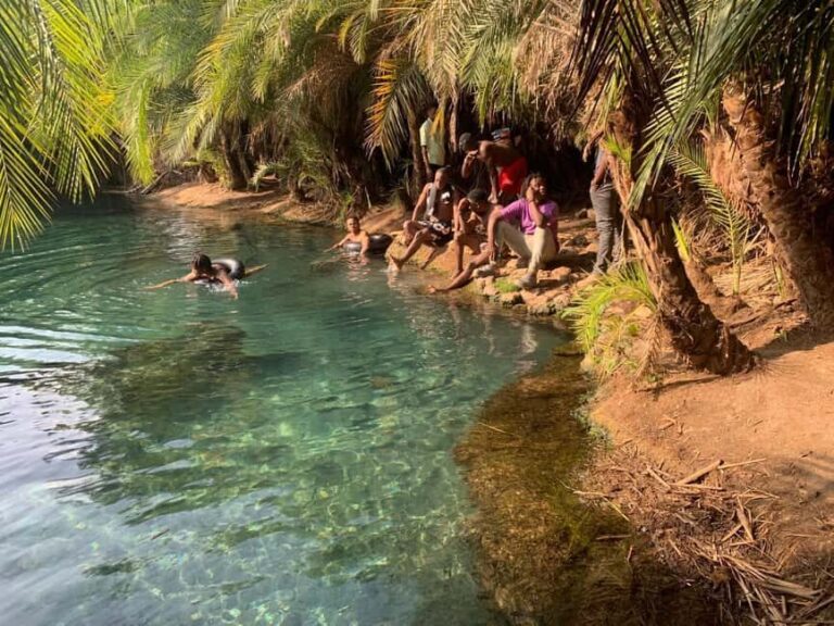 Arusha/Moshi Hot Springs Tour (Chemka) by Kingstone Asilia - What to Expect on the Tour