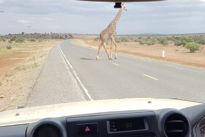 Arusha National Park Half Day Tour - The Details of a Half Day in Arusha National Park