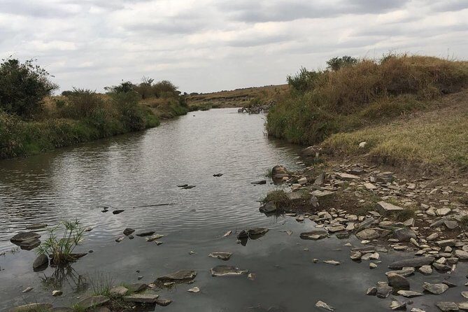 Arusha National Park Safari by Jeep - Detailed Breakdown of the Tour