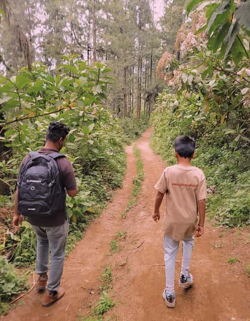 Arusha nature hike to Napuru waterfalls. - What’s Included and What’s Not