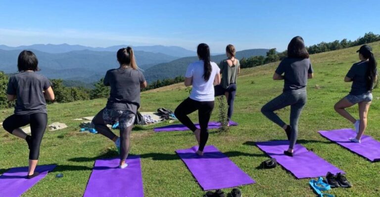 Asheville: Yoga on a Mountain Hike - What You Can Expect from the Experience