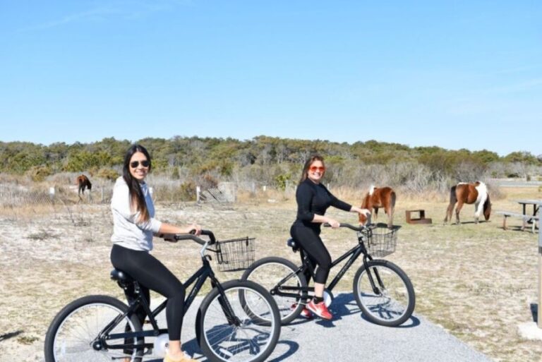 Assateague Island: Bike Rental from the Bayside Stand - Who Should Consider This Experience?