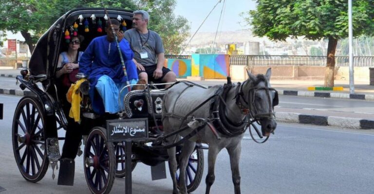 Aswan: Private Horse & Carriage City Tour with Hotel Pickup - A Detailed Look at the Horse & Carriage Tour in Aswan
