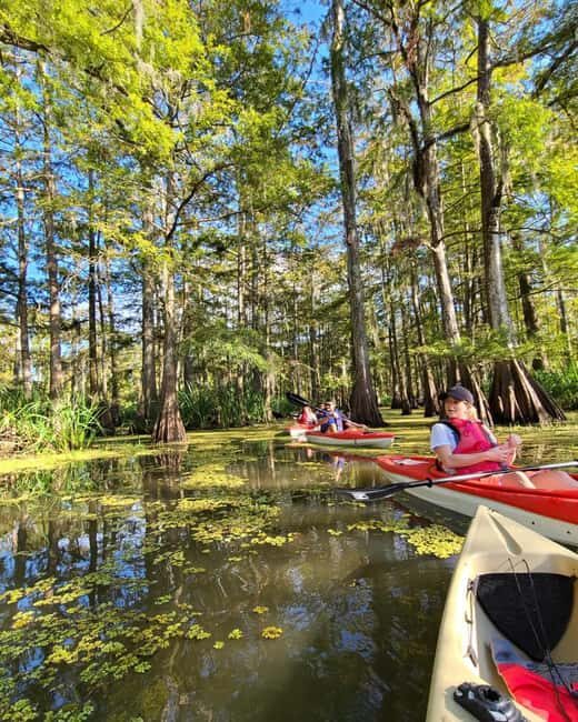 Atchafalaya Basin: 2.5 Hr. Guided Kayak Tour - What’s Special About the Itinerary?