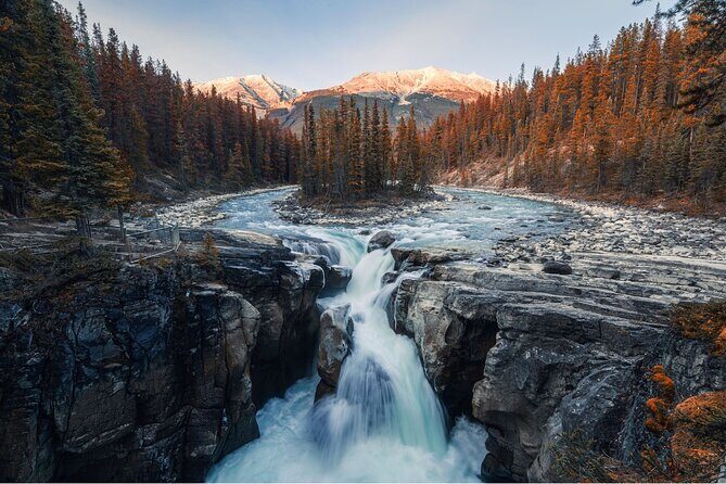 Athabasca Falls/Abraham,Sunwapta Falls,Icefield & Peyto Lake Tour - The Value of the Tour