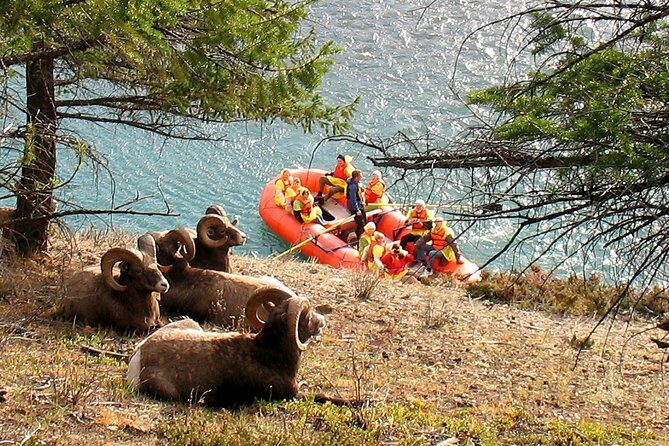 Athabasca River Easy Scenic Raft Trip - Practical Details and What to Pack