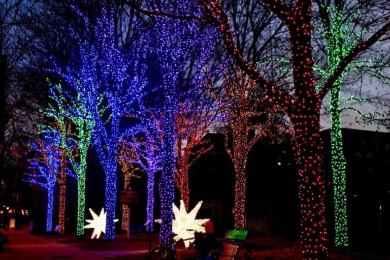 Atlanta: Christmas Private Walking Tour - Final Thoughts: Is This Tour Worth It?