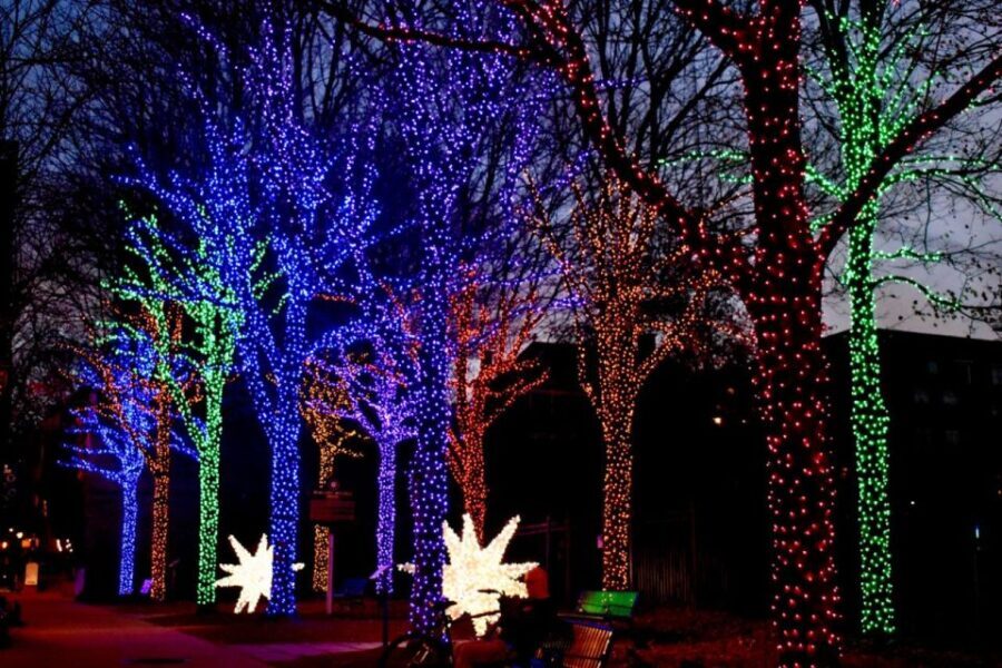 Atlanta: Christmas Private Walking Tour - Final Thoughts: Is This Tour Worth It?