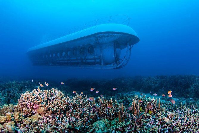 Atlantis Submarine from Kona Beach - What Makes This Tour Stand Out