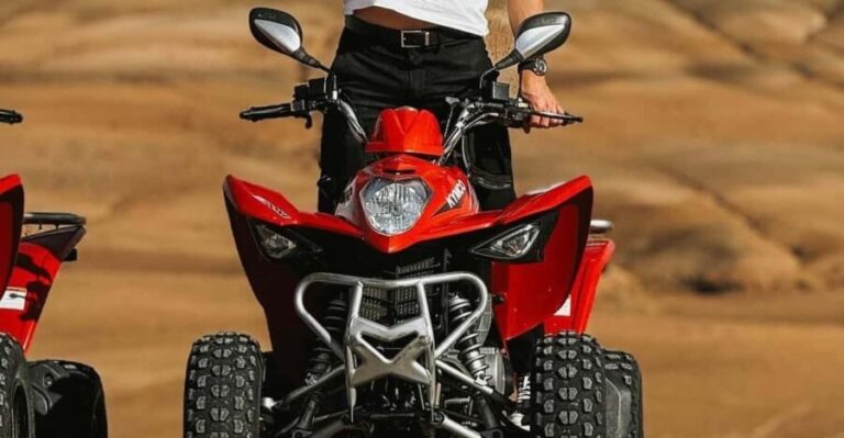 Atlas Mountain & Agafay:Quad Biking and Camel Ride Adventure - Analyzing the Value