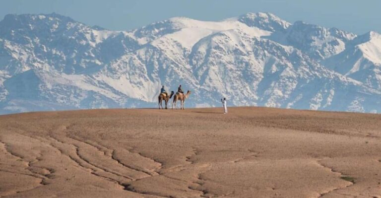 Atlas Mountains and 3 Valleys & Waterfalls & Desert Agafay - Transportation, Timing, and Group Size