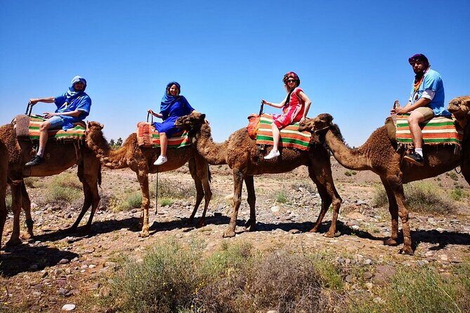 Atlas Mountains and Camel ride Day trip, from Marrakech - Who Will Love This Tour?