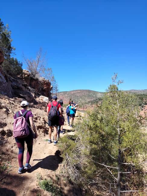 Atlas Mountains: Cultural-Trek Homestay with Berber Families - Who is This Tour Best For?
