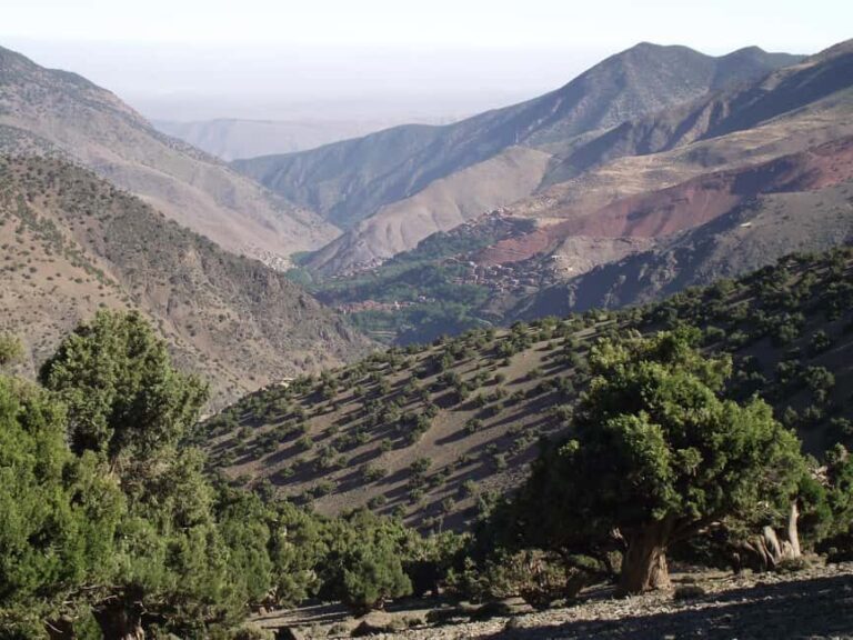 Atlas Mountains Trek 4 days - Day 1: Trek from Marrakesh to Tahliouine