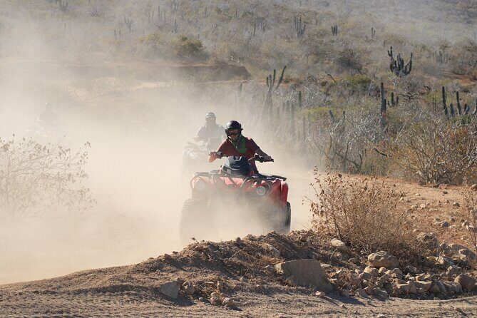 ATV and Camel Experience Los Cabos - Pricing and Value