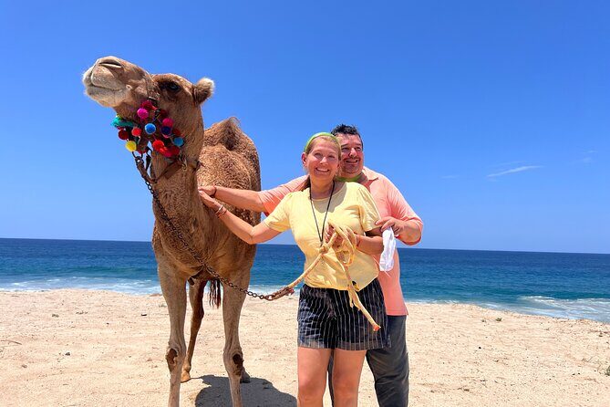 ATV and Camel Ride Combo Tour in Los Cabos - The Itinerary in Detail
