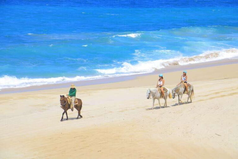 ATV Automatic 4X4 & Horseback riding in Cabo by Cactus Tours - The Itinerary: What You Can Expect