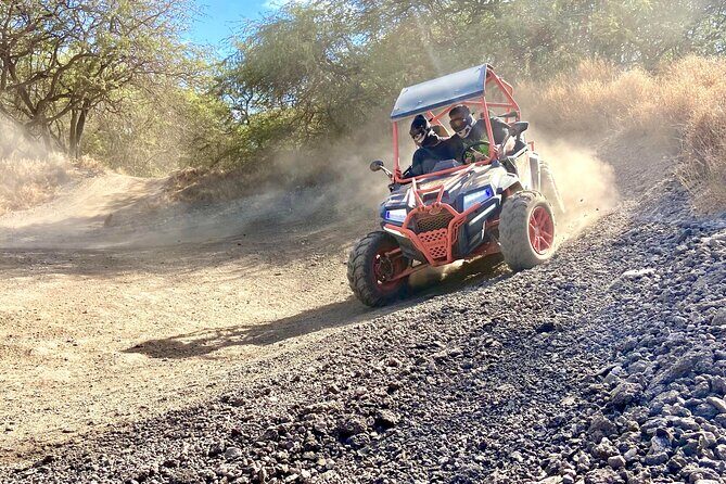 ATV Off Road Adventure - Authentic Reviews & Real-World Insights