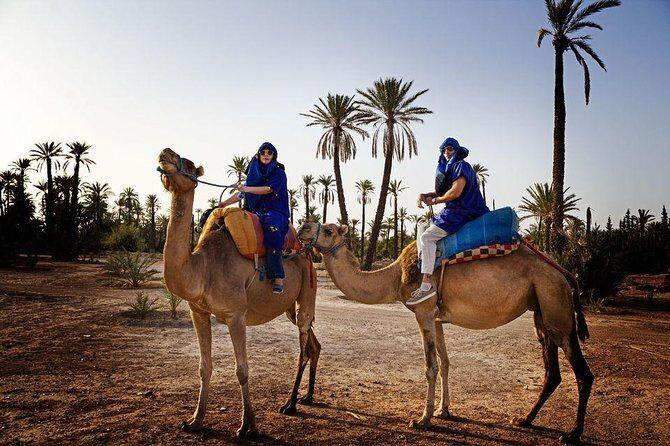 ATV Quad biking in Marrakech desert palmgrove - Who Will Love This Tour?
