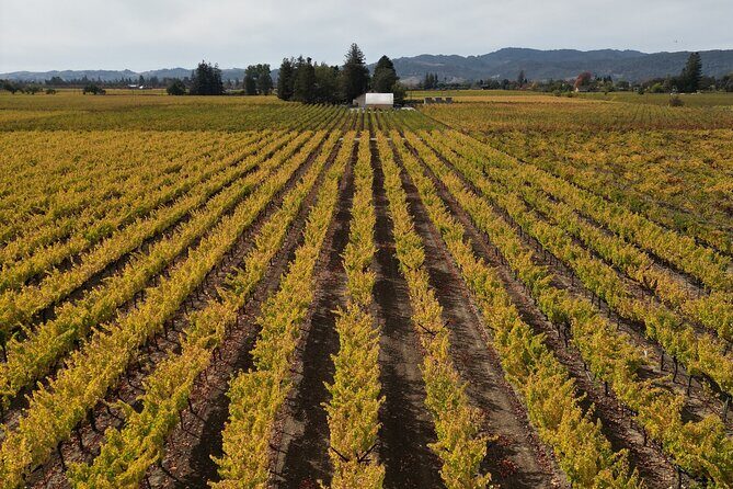 ATV Vineyard Tour and Wine Tasting - The Value Proposition