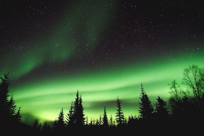 Aurora Lodge Viewing - Who Should Consider This Tour?