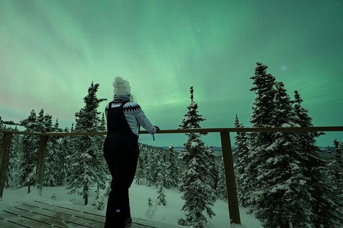 Aurora Oval Nightly Northern Lights Chase - What makes this tour stand out?