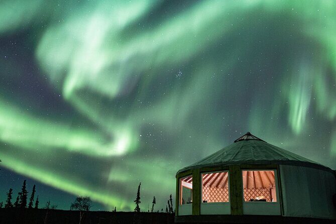 Aurora Viewing and Dinner - Who Should Book This Tour?