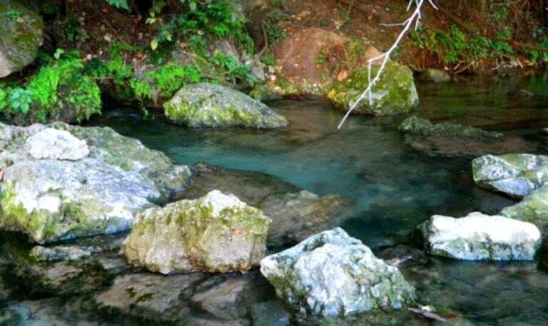 Austin: Journey to the Springs Guided Tour - The Itinerary: What to Expect on Your Paddle