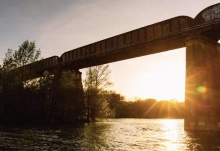 Austin Premium Driving Tour with Sunset Boat Cruise - The value of this experience