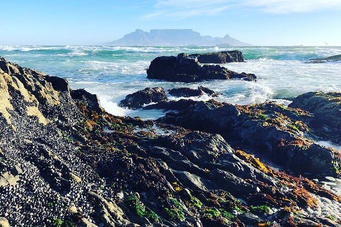 Authentic Cape Town Tour - Key Points at a Glance