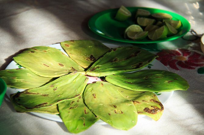 Authentic Rural Mexican Experience Adventure - The Experience and Its Value