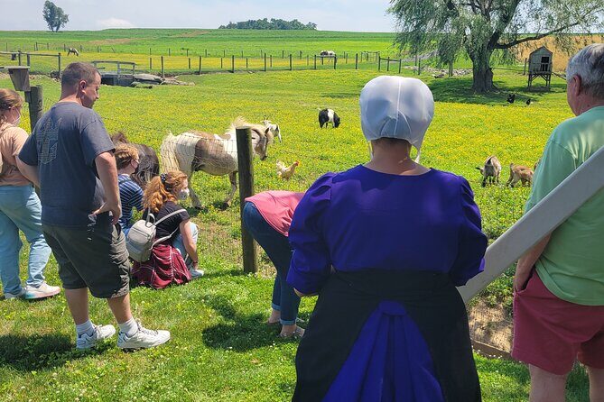 Authentic Tour & Meal with the Amish! - The Scenic Drive and Cultural Insights