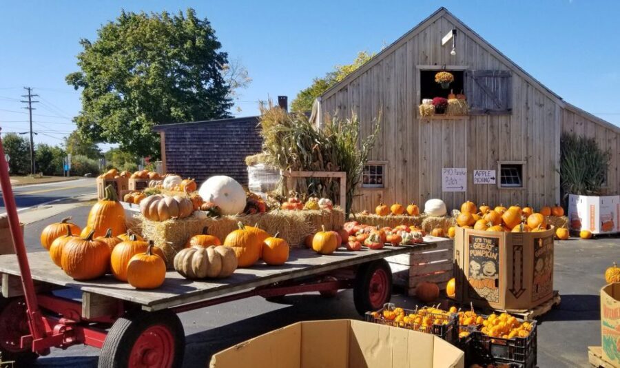 Autumn in New England - Final Thoughts